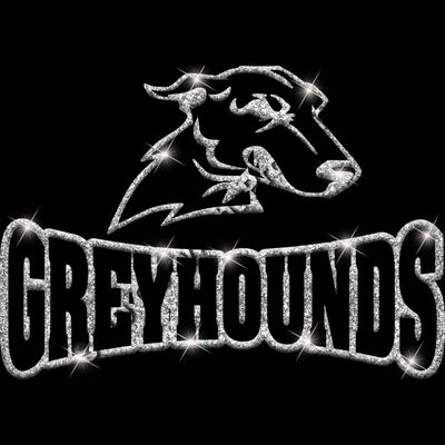 GLT32 SILVER GLITTER Thumbnail