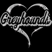 GLT77  SILVER GLITTER Thumbnail