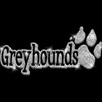 GLT17 SILVER GLITTER Thumbnail