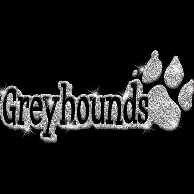 GLT17 SILVER GLITTER Thumbnail